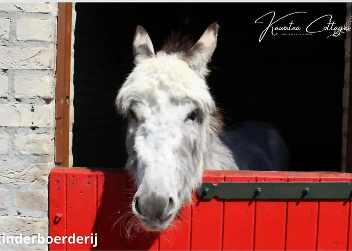 Lakeview 'rotorua' 4-6 Pers By Kawatea * Ewijk