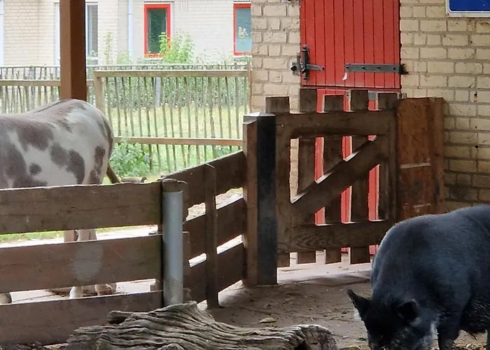 Feriehus Lakeview 'rotorua' 4-6 Pers By Kawatea *